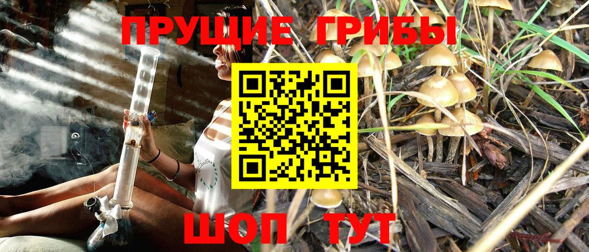 Галлюциногенные грибы ЛСД  Галлюциногенные грибы GOLDEN TEACHER  Южноуральск  Вход с VPN 
